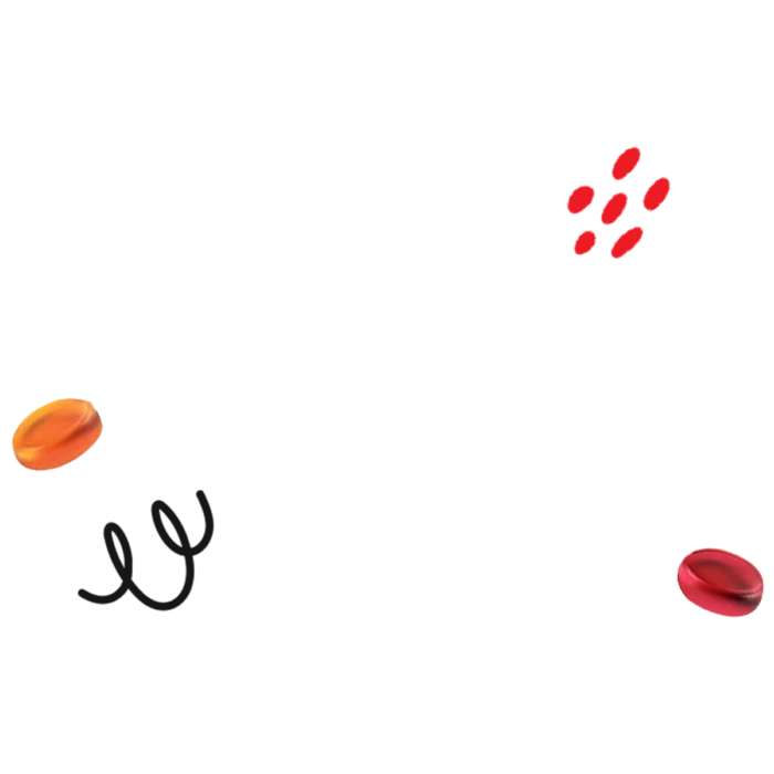 Landing forza crescita visual